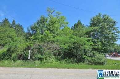 2.5 +/- Acres Highway 431 unit 5, Roanoke, AL 36274 - photo 2