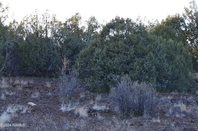 9908 Gleed Station Rd unit 187, Ash Fork, AZ 86320 - photo 3