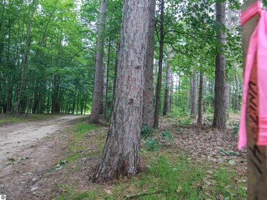 0000-Unit 41 Trailside Dr, Weldon Township, MI 49683 - photo 5