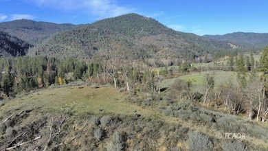 480 Oak Ranch Dr, Lewiston, CA 96052 - photo 3