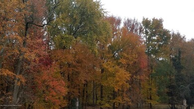 Fall landscape