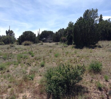 View of Property