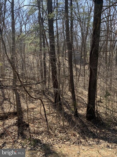 Lot 173 Oasis Ln, Valley, WV 25420 - photo 4
