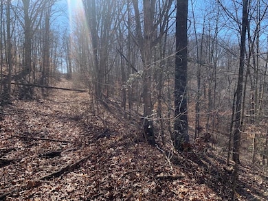 0 Cs-1050, Grayson, KY 41143 - photo 6