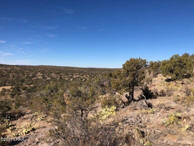 121.5 Greenview Ranch, Seligman, AZ 86337 - photo 5