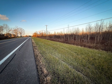 8188 Route 104a, Wolcott, NY 14590 - photo 3