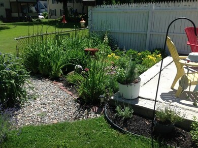 This is the back yard during spring...