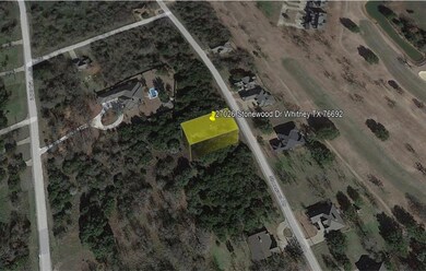 27026 Stonewood Dr, Whitney, TX 76692 - photo 4