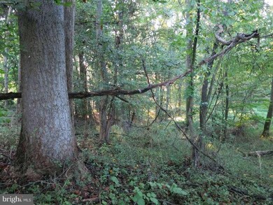 11580 Chapel Rise, Clarksville, MD 21029 - photo 4