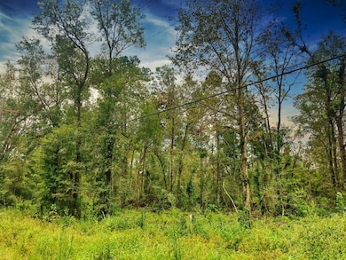 0 Oleander Dr unit 22715278, Vidor, TX 77662 - photo 5