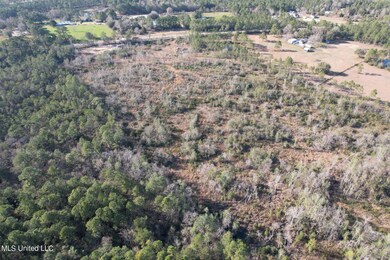 Photo of Back of Property