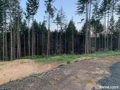0 Porter Rd unit 756101, Blodgett, OR 97326 - photo 2