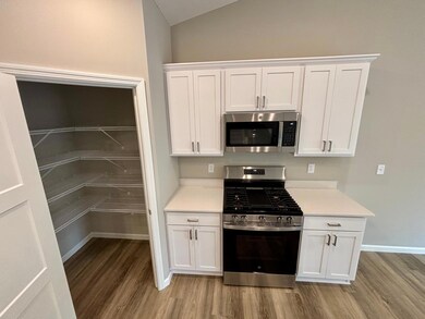 425 Mallard St NE, Hanover, MN 55341 - photo 5