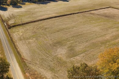 Lot 3 Barnesville Church Rd, Orrum, NC 28369 - photo 6