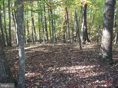0 Seldom Seen & Bob unit WVMO117614, Great Cacapon, WV 25422 - photo 4