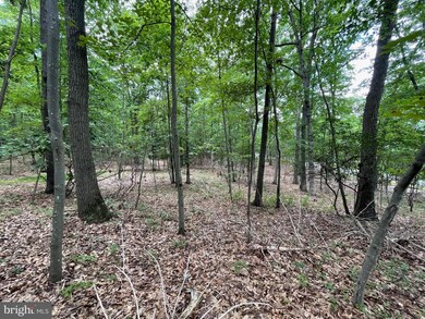 0 White Church Rd, Shippensburg, PA 17257 - photo 3