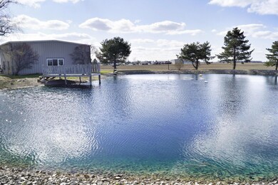 pond-3