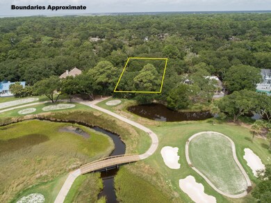 2423 High Hammock Rd, Seabrook Island, SC 29455 - photo 3