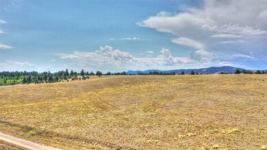 1298 Superstition Trail, Hartsel, CO 80449 - photo 6