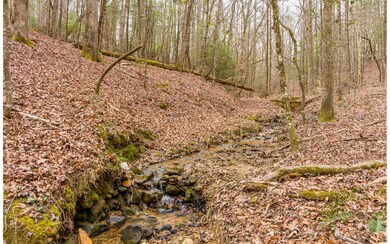 178 Blackberry Mountain Rd, Ellijay, GA 30536 - photo 6