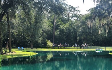 3431 SW Custom Made Cir, Lake City, FL 32024 - photo 2