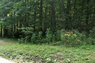 1732 Paradise Camp Rd, Harrodsburg, KY 40330 - photo 3