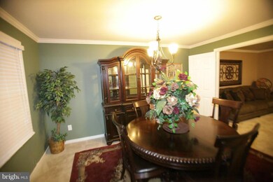 6135 Camelback Ln, Columbia, MD 21045 - photo 6