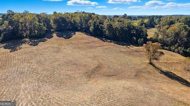 1075 Davis Rd, Carrollton, GA 30116 - photo 3