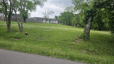 0 Cranwill Dr unit RTC2865946, Hendersonville, TN 37075 - photo 4