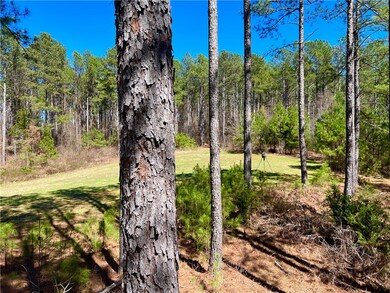 00 Sarah Simpson Rd, Iva, SC 29655 - photo 7