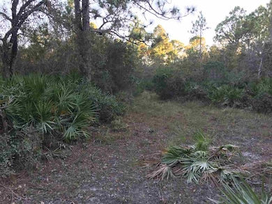 0 Yates Creek Rd unit 275087, Perry, FL 32348 - photo 7