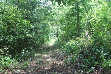 59 Wesley Dr, Leicester, NC 28748 - photo 4