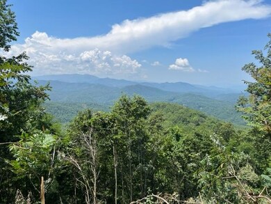Current Views