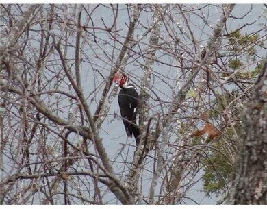 21535 Ridgeview Ln, Rogers, AR 72756 - photo 7