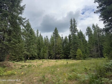 456 Tamarack Ln, Sagle, ID 83860 - photo 5