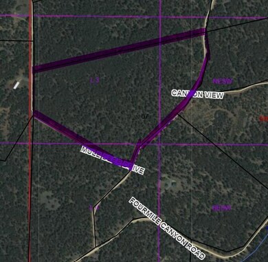 Assessor Aerial