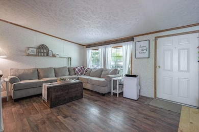 6007 Dolly Varden-5