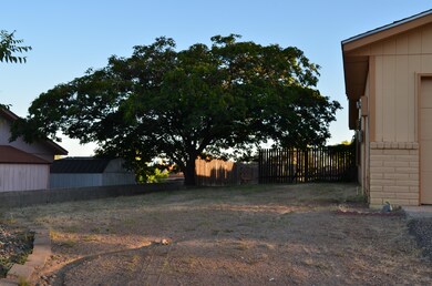 side backyard access