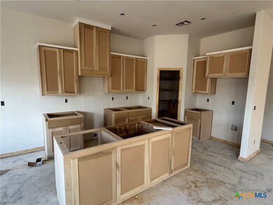 2564 Cowgirl Trail, Belton, TX 76513 - photo 4