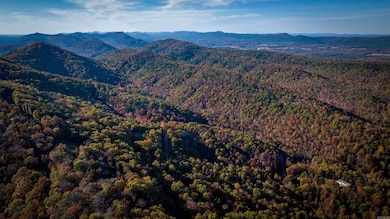 CR185 Camilla Springs, Glenwood, AR 71943 - photo 4