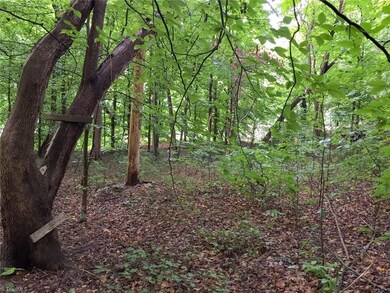 428 Westchester Rd, Statesville, NC 28625 - photo 4