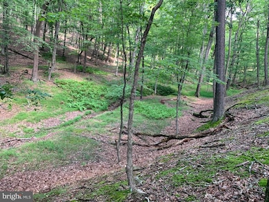 0 Beech Ln unit WVHD106246, Baker, WV 26801 - photo 5