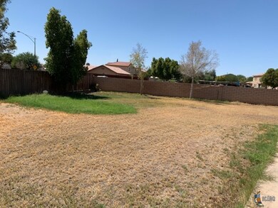 2149 Joe Acuna Ct, Calexico, CA 92231 - photo 5
