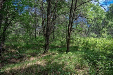 2.08 ac N Clearview Rd, Nekoosa, WI 54456 - photo 6