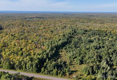 TBDE20 Firesteel Rd, Ontonagon, MI 49953 - photo 3