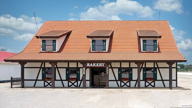 289 Christian St, San Antonio, TX 78253 - photo 5