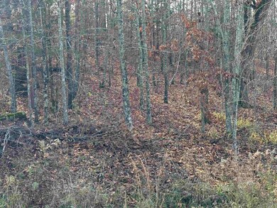 Tract 94 95 Vernon Ct, Austin, AR 72007 - photo 2