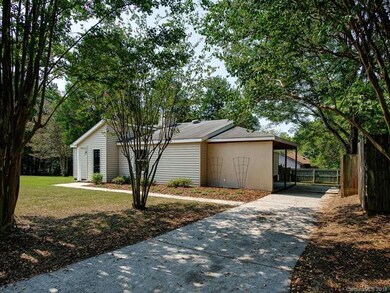 Side Yard/Driveway