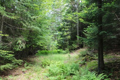 00 Vt Route 12 N, Brookfield, VT 05036 - photo 5