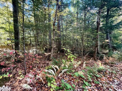 122 & 123 Aspen Estates, Rome, ME 04963 - photo 6